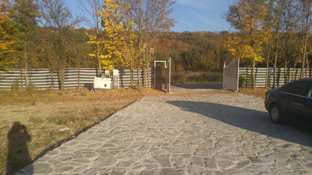 Pensiunea Casa Vanatorului Ξενοδοχείο Oteleni Εξωτερικό φωτογραφία