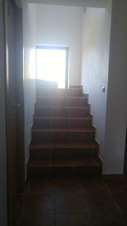 Pensiunea Casa Vanatorului Ξενοδοχείο Oteleni Εξωτερικό φωτογραφία
