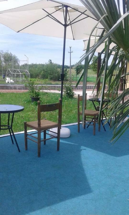 Pensiunea Casa Vanatorului Ξενοδοχείο Oteleni Εξωτερικό φωτογραφία