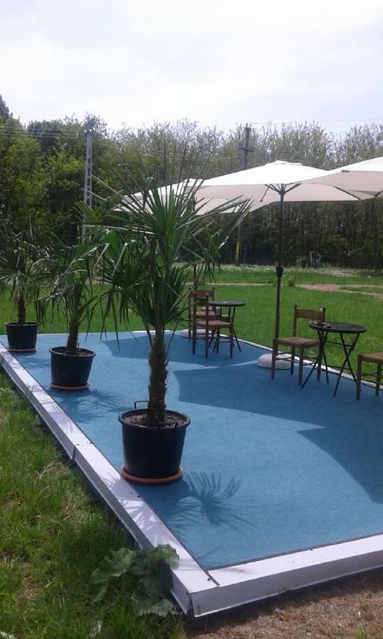 Pensiunea Casa Vanatorului Ξενοδοχείο Oteleni Εξωτερικό φωτογραφία